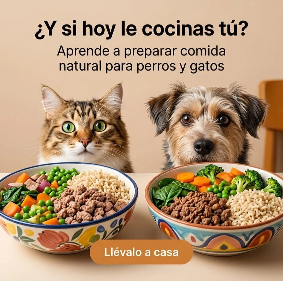 Un gato y un perro frente a dos platos de comida casera, con el mensaje ¿Y si hoy le cocinas tú?